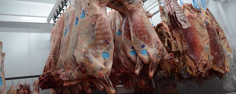 Cortes de carne vacuna y de cerdo, de producción propia