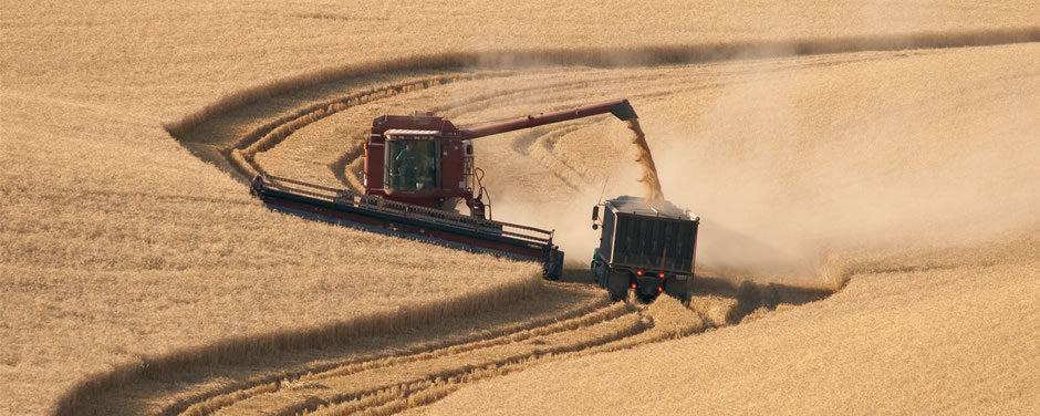 LAR posee en Crespo y sucursales una capacidad de acopio de más de 190.000 tn.